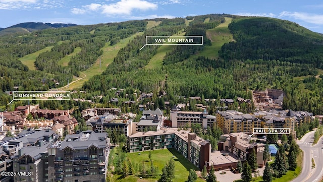 710 W Lionshead Cir Unit 501, Vail, CO 81657 - bird's eye view of mountains