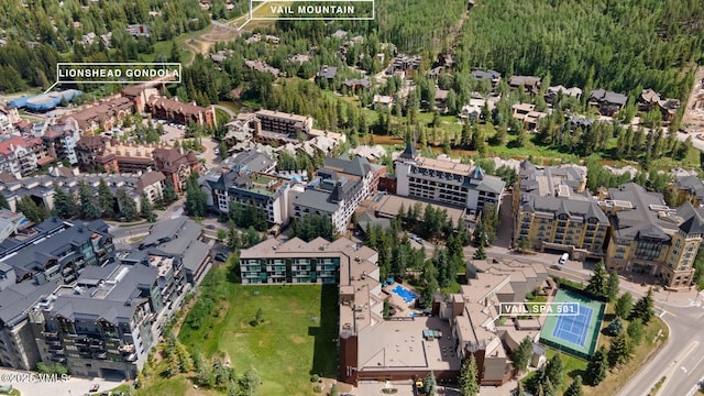 710 W Lionshead Cir Unit 501, Vail, CO 81657 - aerial view of property's location