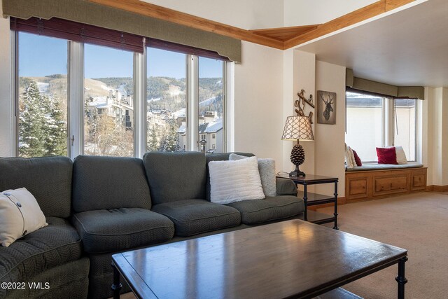 living room with a mountain view and carpet floors