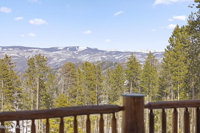 317 Elk Woods Rd, Edwards, CO 81632 - photo 79