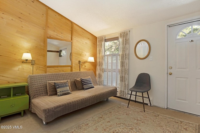 4506 Spruce Way Unit 2, Vail, CO 81657 - living area with plenty of natural light, wooden walls, and carpet floors
