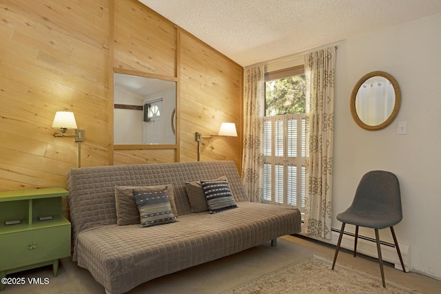 4506 Spruce Way Unit 2, Vail, CO 81657 - sitting room with wooden walls, carpet floors, a textured ceiling, and a baseboard heating unit