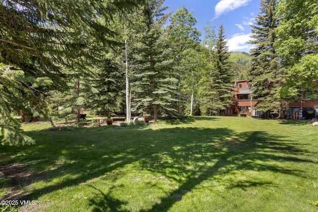 4506 Spruce Way Unit 2, Vail, CO 81657 - view of green lawn featuring a view of trees