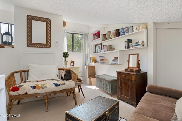 4506 Spruce Way Unit 2, Vail, CO 81657 - living area featuring light carpet and a textured ceiling