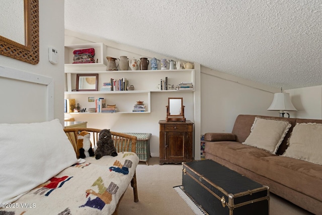 4506 Spruce Way Unit 2, Vail, CO 81657 - home office with a textured ceiling, carpet, and vaulted ceiling