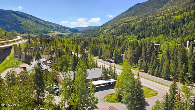 4506 Spruce Way Unit 2, Vail, CO 81657 - view of mountain background featuring a heavily wooded area