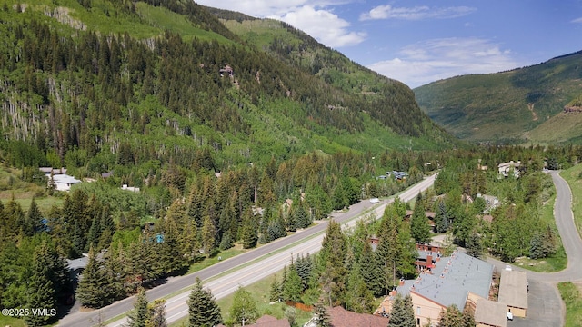 4506 Spruce Way Unit 2, Vail, CO 81657 - mountain view with a heavily wooded area