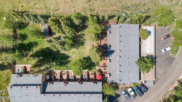 4506 Spruce Way Unit 2, Vail, CO 81657 - bird's eye view