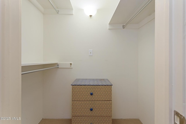 4506 Spruce Way Unit 2, Vail, CO 81657 - spacious closet featuring carpet floors