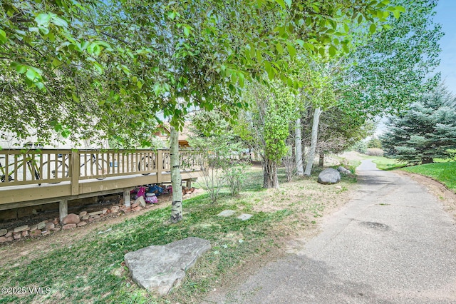 7 Black Bear Dr, Gypsum, CO 81637 - photo 21