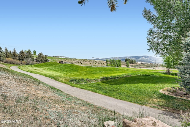 7 Black Bear Dr, Gypsum, CO 81637 - photo 23
