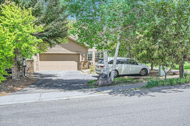 7 Black Bear Dr, Gypsum, CO 81637 - photo 24