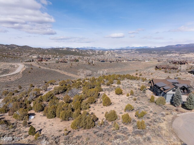 153 Hollyhock Ct, Eagle, CO 81631
