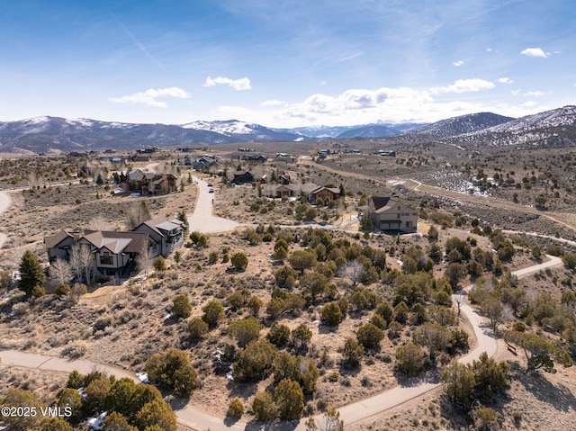 153 Hollyhock Ct, Eagle, CO 81631