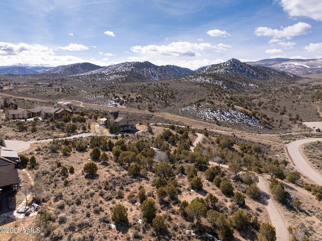 153 Hollyhock Ct, Eagle, CO 81631