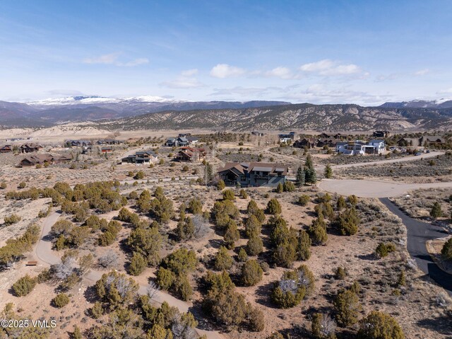 153 Hollyhock Ct, Eagle, CO 81631