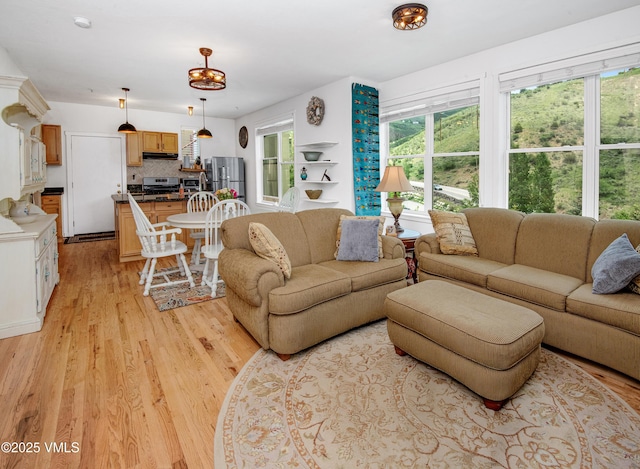 511 Metcalf Rd Unit I27, Avon, CO 81620 - living area featuring light wood-style flooring