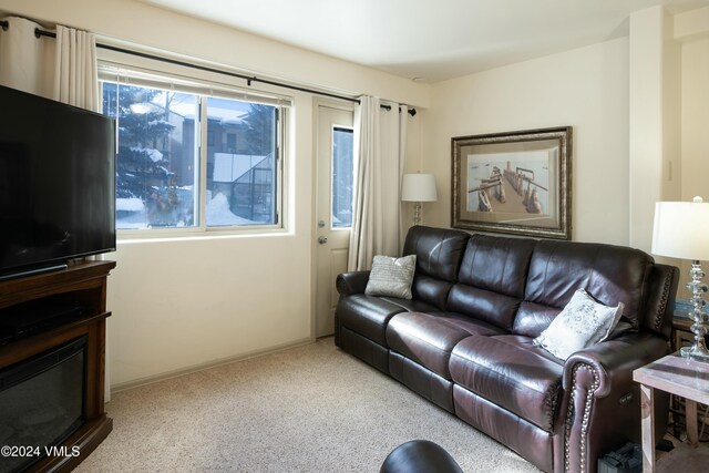 living room with plenty of natural light