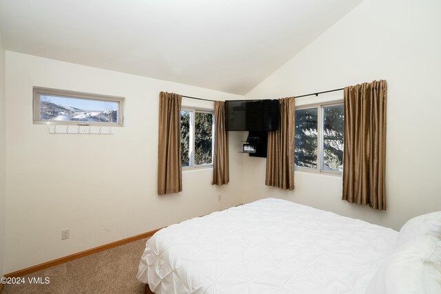 bedroom featuring lofted ceiling and carpet