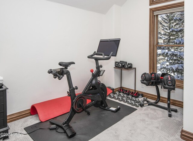 workout area featuring carpet floors