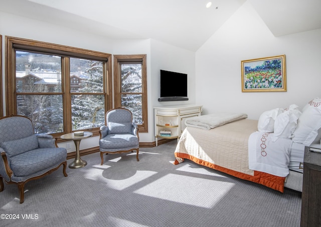 carpeted bedroom with lofted ceiling