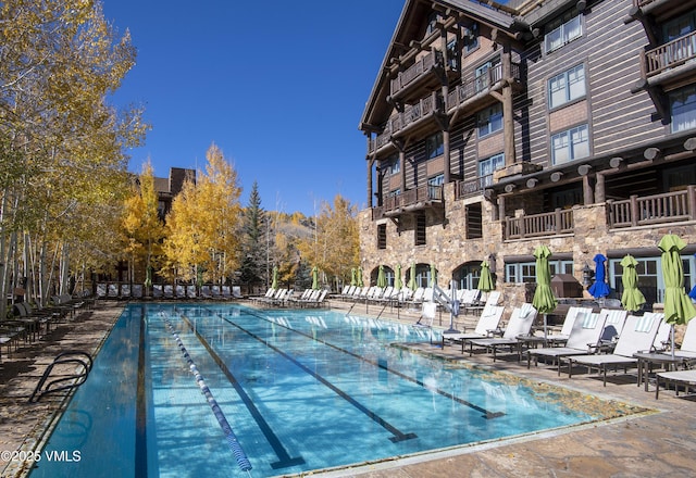 view of swimming pool featuring a patio area