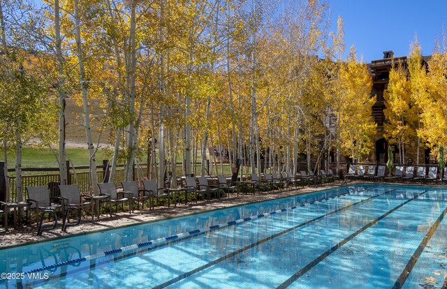 view of swimming pool