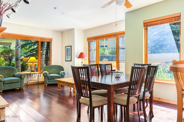 74 Cresta Rd Unit 110, Edwards, CO 81632 - dining space featuring wood finished floors, healthy amount of natural light, and a ceiling fan