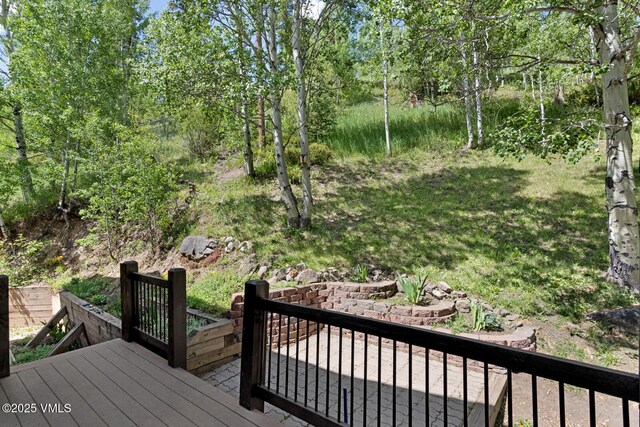 445 Pine St, Red Cliff, CO 81649 - view of deck