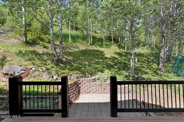 445 Pine St, Red Cliff, CO 81649 - view of wooden deck