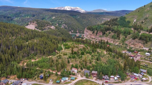 445 Pine St, Red Cliff, CO 81649 - view of property location featuring a heavily wooded area and a mountainous background