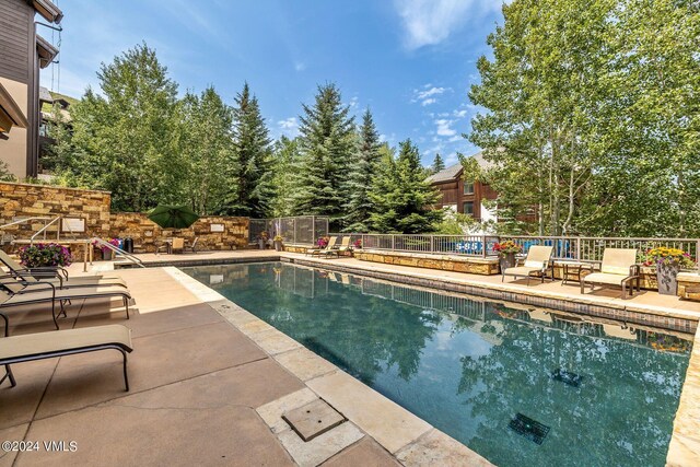 view of pool featuring a patio area