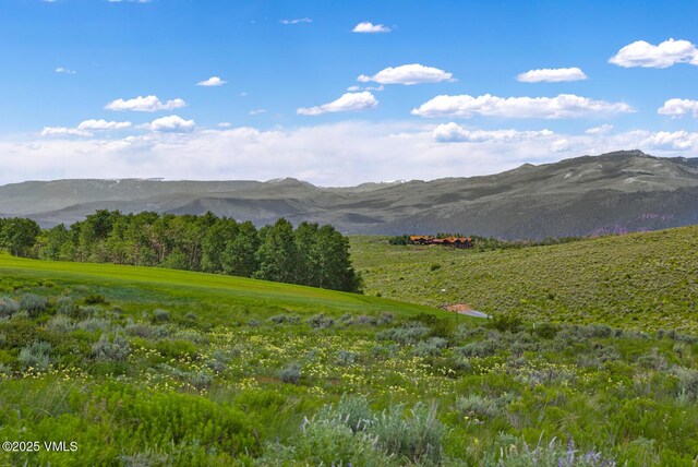 410 Pine Marten Way, Edwards, CO 81632 - photo 6
