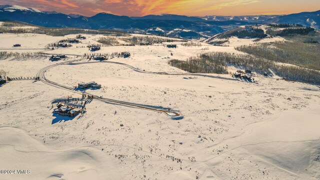 410 Pine Marten Way, Edwards, CO 81632 - photo 37
