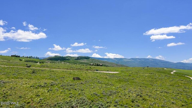 410 Pine Marten Way, Edwards, CO 81632 - photo 14