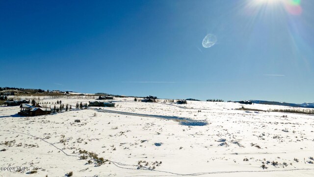 410 Pine Marten Way, Edwards, CO 81632 - photo 32