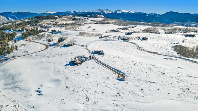410 Pine Marten Way, Edwards, CO 81632 - photo 38