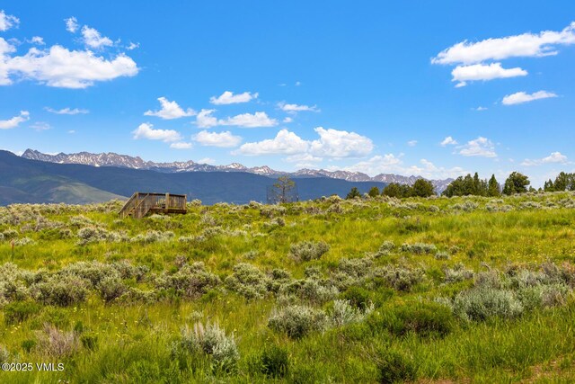 410 Pine Marten Way, Edwards, CO 81632 - photo 8
