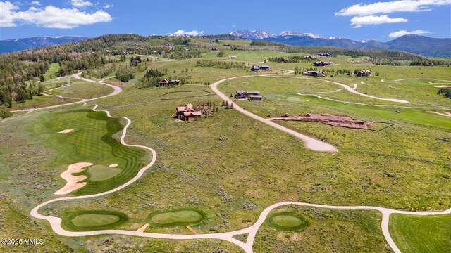 410 Pine Marten Way, Edwards, CO 81632 - photo 2