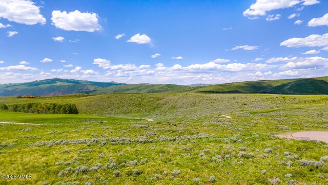 410 Pine Marten Way, Edwards, CO 81632 - photo 11