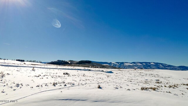 410 Pine Marten Way, Edwards, CO 81632 - photo 33