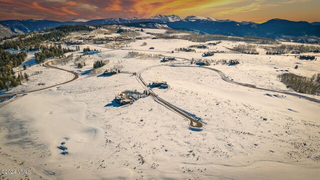 410 Pine Marten Way, Edwards, CO 81632 - photo 39