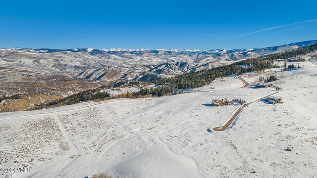 410 Pine Marten Way, Edwards, CO 81632 - photo 42