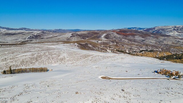 410 Pine Marten Way, Edwards, CO 81632 - photo 21