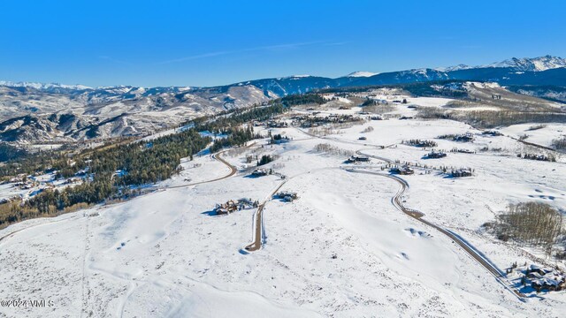 410 Pine Marten Way, Edwards, CO 81632 - photo 41
