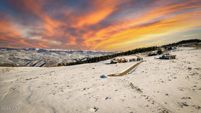 410 Pine Marten Way, Edwards, CO 81632 - photo 31