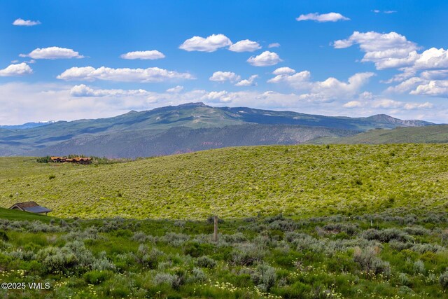 410 Pine Marten Way, Edwards, CO 81632 - photo 7