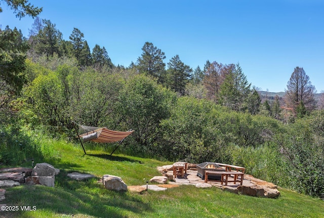 620 Jouflas Ranch Rd, Wolcott, CO 81655 - view of yard featuring an outdoor fire pit and a wooded view