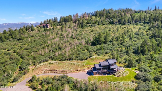 620 Jouflas Ranch Rd, Wolcott, CO 81655 - view of subject property with a heavily wooded area