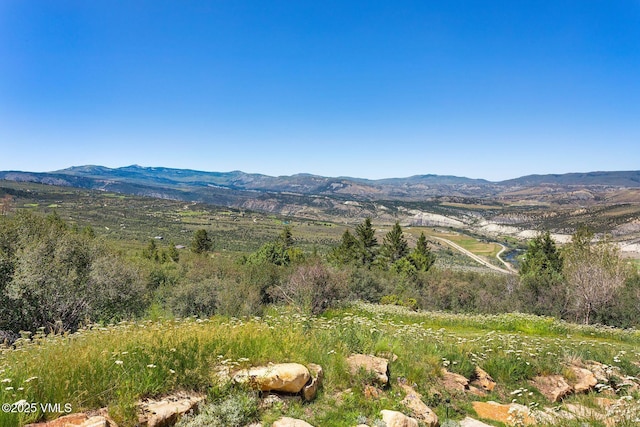 620 Jouflas Ranch Rd, Wolcott, CO 81655 - mountain view
